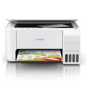 Epson Printer Model 2